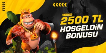 Willwin Casino Hoş Geldin Bonusu willwin-casino
